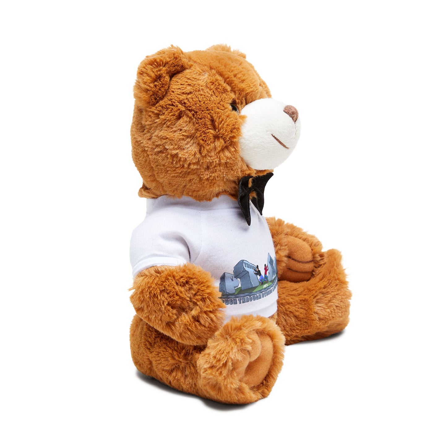 Push through Anxiety Teddy Bear with T-Shirt, Cute Gift for Kids, Birthday, Baby Shower, Cozy Home Decor, Plush Toy