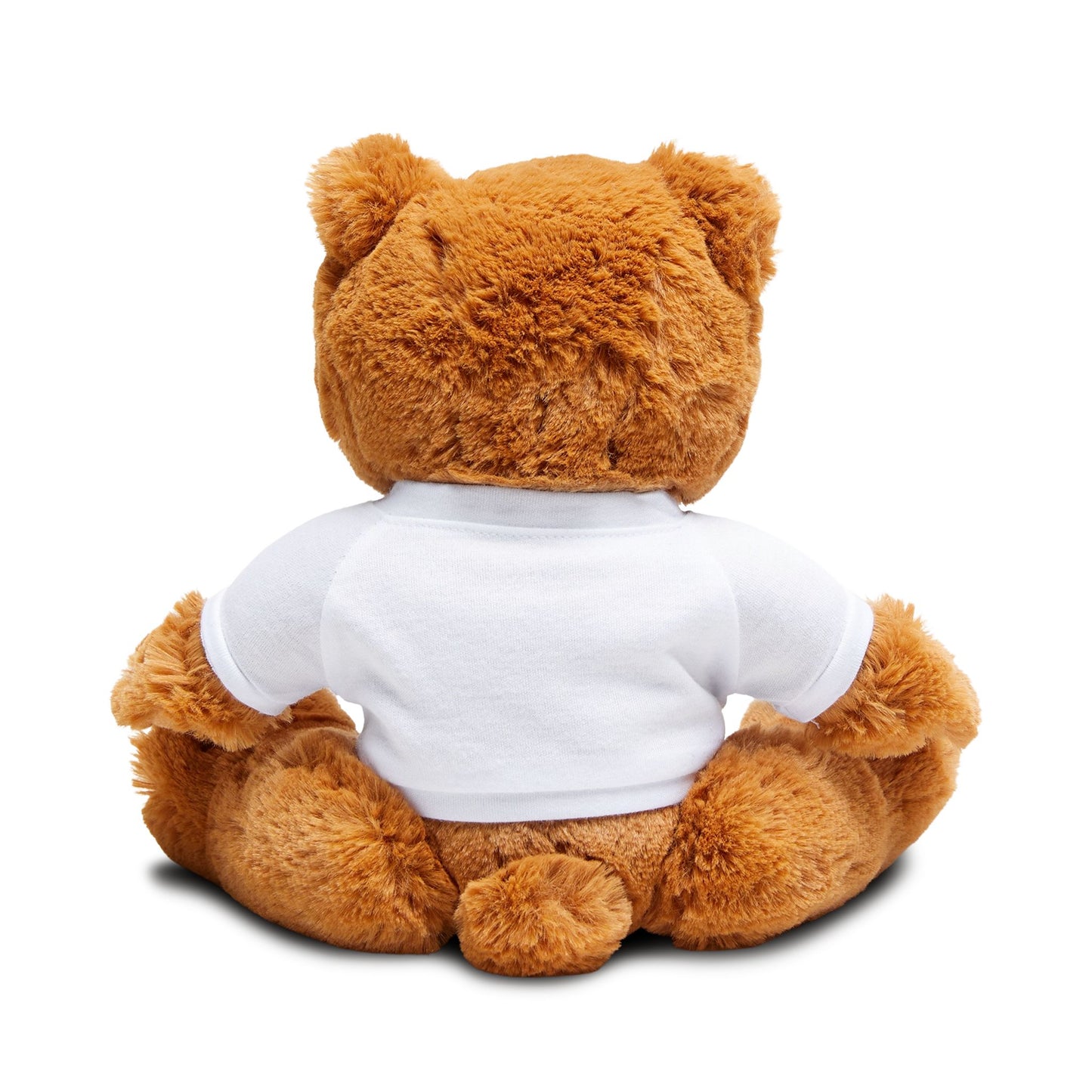 Push through Anxiety Teddy Bear with T-Shirt, Cute Gift for Kids, Birthday, Baby Shower, Cozy Home Decor, Plush Toy
